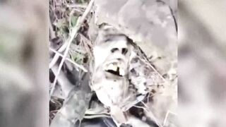 ALEXEYEVO-DRUZHKOVKA HUNDREDS OF UKRAINIAN DEAD