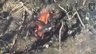 Russhit is burning alive to a crisp.