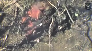 Russhit is burning alive to a crisp.