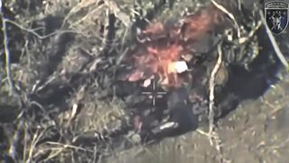 Russhit is burning alive to a crisp.