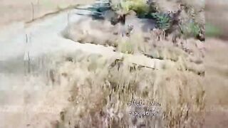 UKRAINIAN SOLDIERS KILLED WHILE DOING A CATWALK