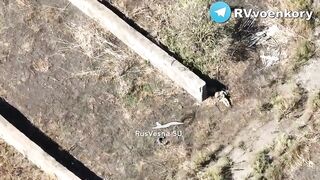 UKRAINIAN SOLDIERS AMBUSHED AND EXECUTED