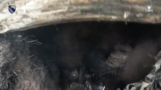 Special forces of 6th SOF Ranger Regiment raid ruscist position and clear dugout