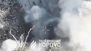 Ukainian drone destroyed pedoruzzian drone waving Vlasov's flag