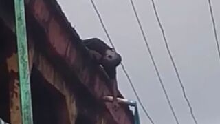Man Electrocuted And Killed While Cleaning Shopping Center Roof In Nigeria