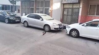 Dudes Stop isis Attack in Türkiye