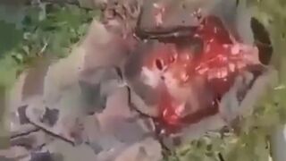 CDS Cartel Filming Rivals Killed During Battle In Sinaloa
