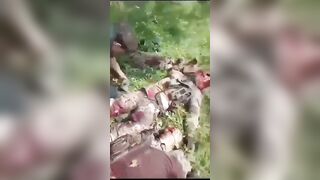 CDS Cartel Filming Rivals Killed During Battle In Sinaloa