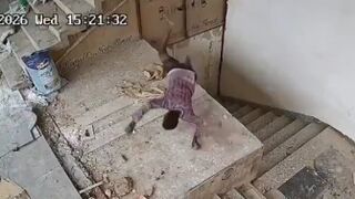 Worker Falls To His Death While Painting A School