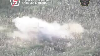Dead Russians by 5th Brigade. #5