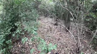 Special forces set up ambush near border in Kharkiv region and captured Russian scout