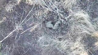 A massacre of russian invaders near Kruhliakivka, Kharkiv region.