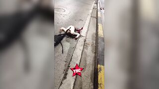 Female Rider Ripped in Half in Terrible Motorcycle Crash