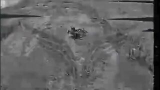 RUBICON OPERATING IN THE DONBAS REGION