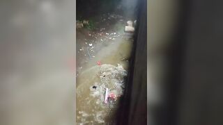 LOL Man Falls from Flyover During Ganesh Idol Immersion