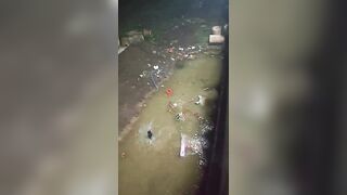 LOL Man Falls from Flyover During Ganesh Idol Immersion