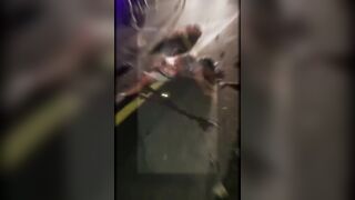 Damn, don't mess around on the road, bro (compilation)