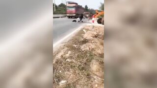 Damn, don't mess around on the road, bro (compilation)