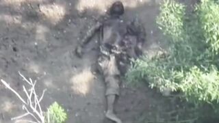 UKRAINE DEATH COMP CLXXIV