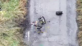 Just another burning katsap with guts out on Ukrainian road