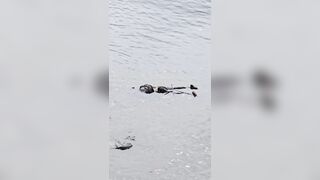USA: A body floating in the Willamette river in downtown Portland