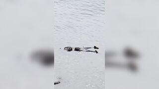 USA: A body floating in the Willamette river in downtown Portland