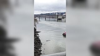 USA: A body floating in the Willamette river in downtown Portland