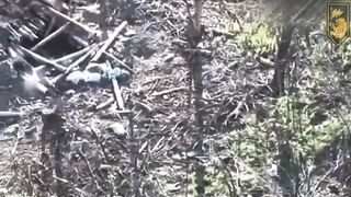 Ukrainian soldier shoots two ruzzian invaders from dugout.