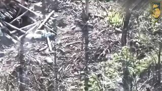 Ukrainian soldier shoots two ruzzian invaders from dugout.