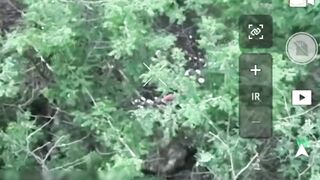Dead Russians by WORMBUSTERS. #6
