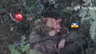 Ukrainian lets his imagination run wild.