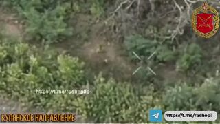 Ukrainian lets his imagination run wild.