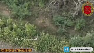 Ukrainian lets his imagination run wild.