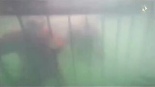 CLASSIC: ISIS EXECUTION INSIDE A POOL WITH CAGE