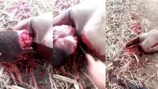 CLASSIC BEHEADING OF A MAN IN AFRICA