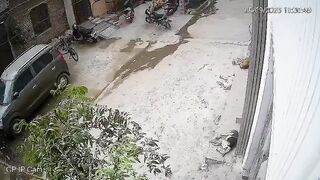 Man Jumps From The 4th Floor In India