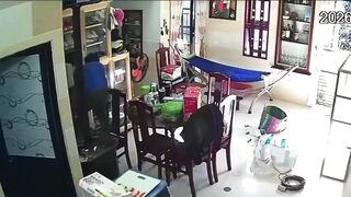 Rather Stupid Way To Die