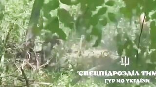 Pew pew madafakas