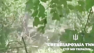 Pew pew madafakas