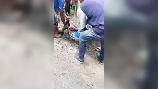 Road accident in Moliwe, Cameroon kills 2