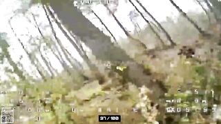 MERCENARIES TERMINATED IN LUHANSK OBLAST TERRITORY