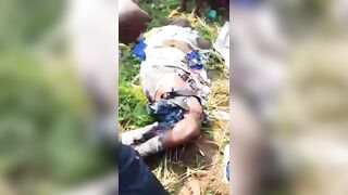 Plane Crash In Congo: 17 Killed