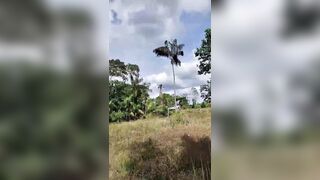 Electric Company Worker Electrocuted, Killed While Fixing Live Wires