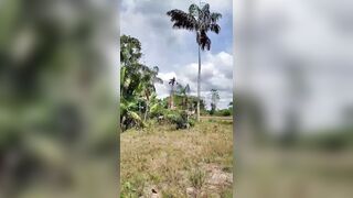 Electric Company Worker Electrocuted, Killed While Fixing Live Wires