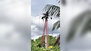 Electric Company Worker Electrocuted, Killed While Fixing Live Wires