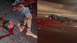 Another" Closed Casket" Case On Brazilian Road
