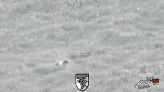 3 minutes of dead Russians by 93rd Brigade.