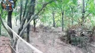 My boi dies