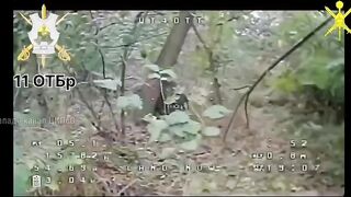 Drones killing Ukrainians.
