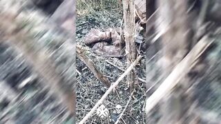 Colombian captive from pedoruzzian side was captured on north of Kupyansk